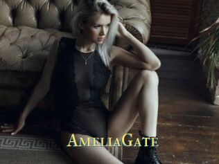 AmeliaGate