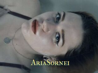 AriaSornei