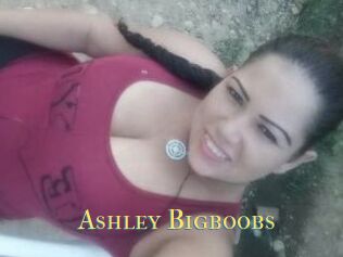 Ashley_Bigboobs