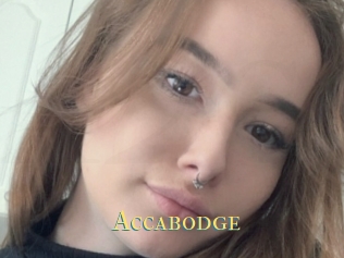 Accabodge