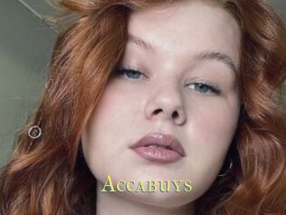 Accabuys