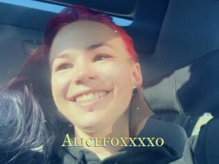 Alicefoxxxxo