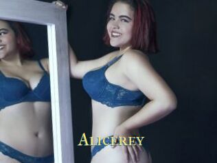Alicerey