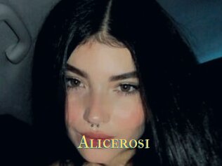 Alicerosi