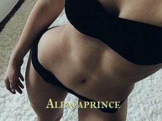 AlpacaPrince
