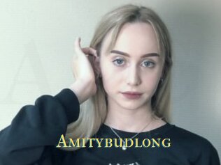 Amitybudlong
