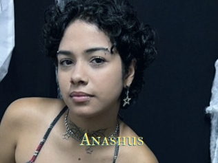 Anashus