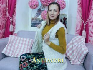 Anitacori