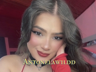 Antonelawildd