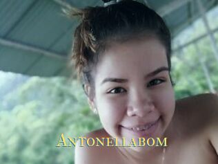 Antonellabom
