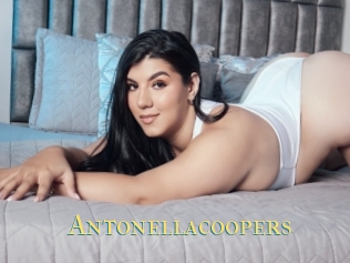 Antonellacoopers