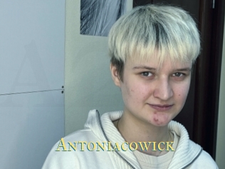 Antoniacowick