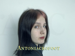 Antoniacrofoot