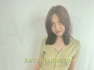 Antoniadowey