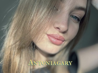 Antoniagary