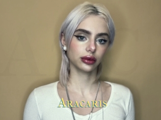 Aracaris