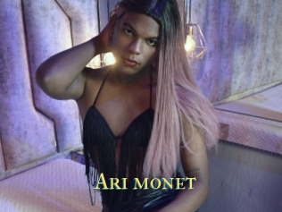 Ari_monet