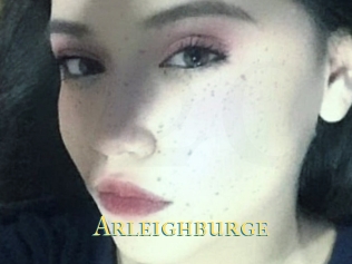 Arleighburge