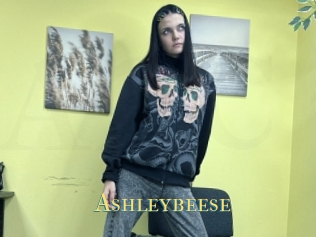 Ashleybeese