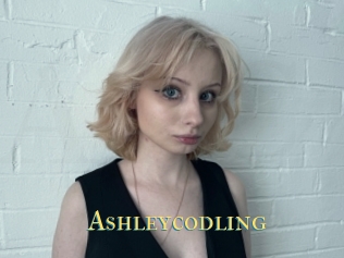 Ashleycodling