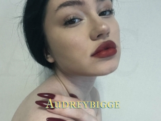 Audreybigge