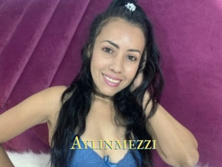 Aylinmezzi