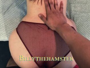 Billythehamster