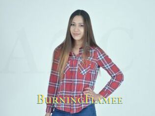 BurningFlamee