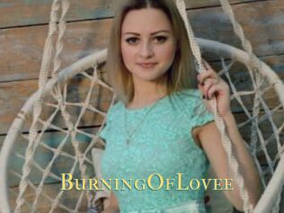BurningOfLovee