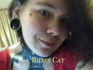 Buzzy_Cat