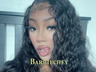 barb1echey Annonce 2 coquine