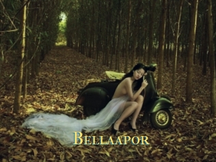 Bellaapor