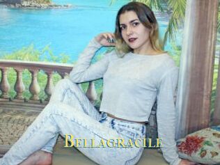 Bellagracile