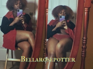 Bellarosepotter