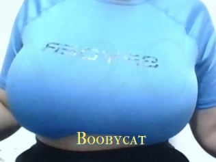 Boobycat