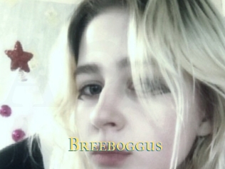 Breeboggus