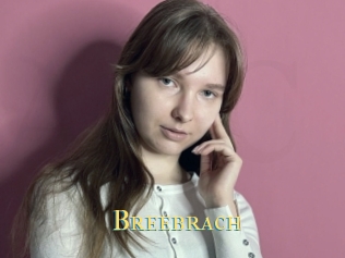 Breebrach