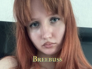 Breebuss
