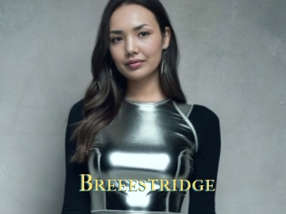 Breeestridge