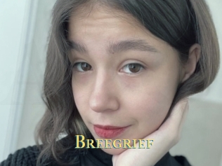 Breegrief