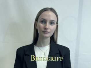 Breegriff