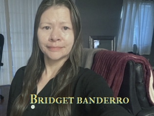 Bridget_banderro