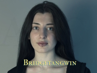 Bridgetangwin