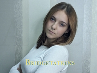 Bridgetatkins