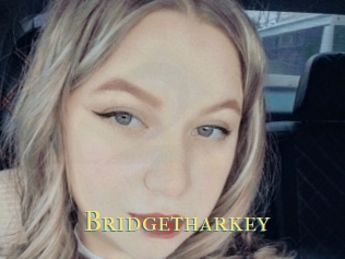 Bridgetharkey