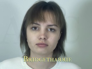 Bridgetharrie