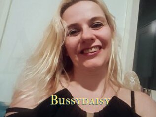 Bussydaisy
