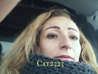 Cat2323