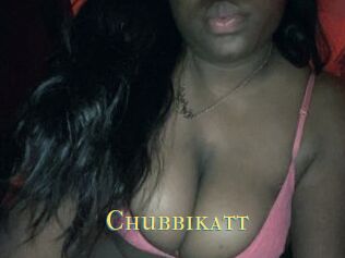 Chubbikatt