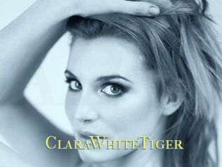 ClaraWhiteTiger